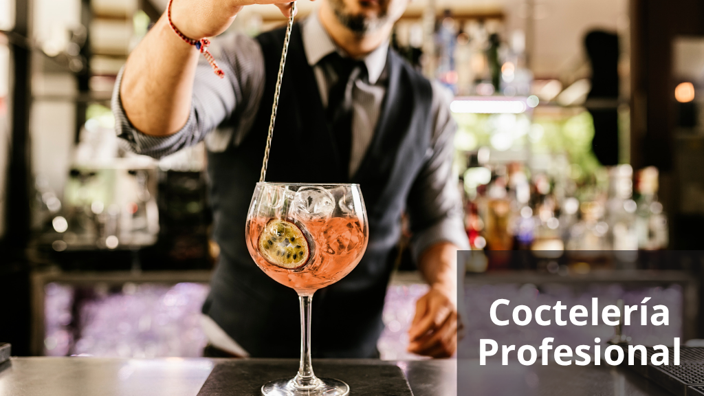 Curso de Cocteler&iacute;a Profesional