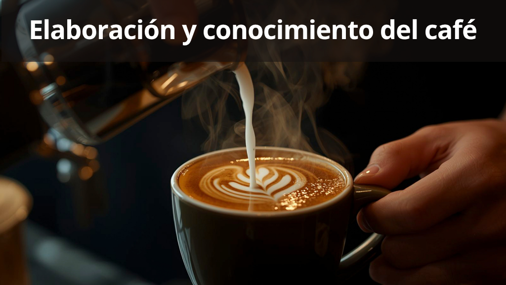 Curso de Elaboraci&oacute;n y Conocimiento del caf&eacute;