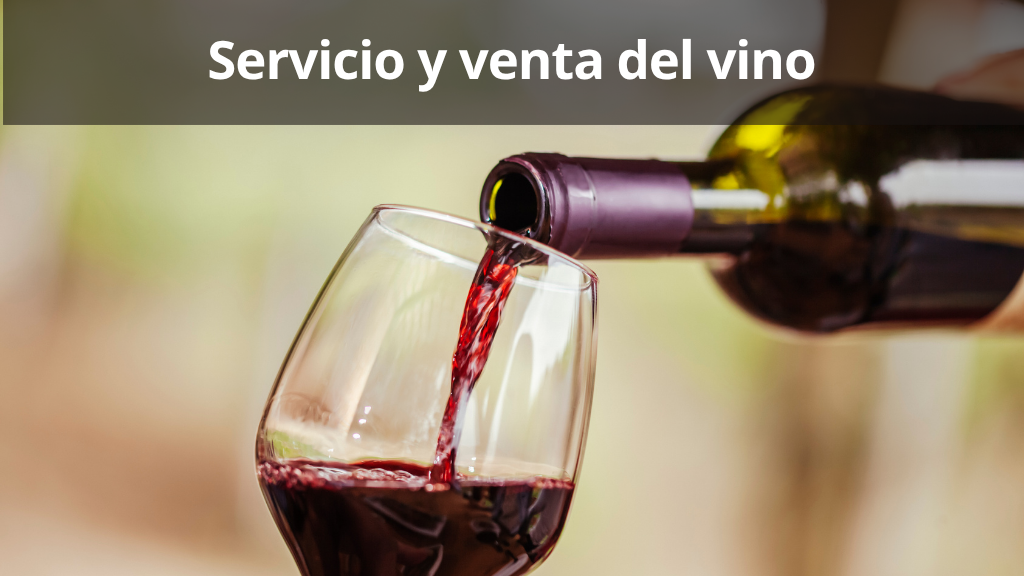 Curso de Servicio y Venta del vino